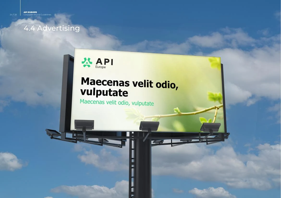 Publicitate API Europe