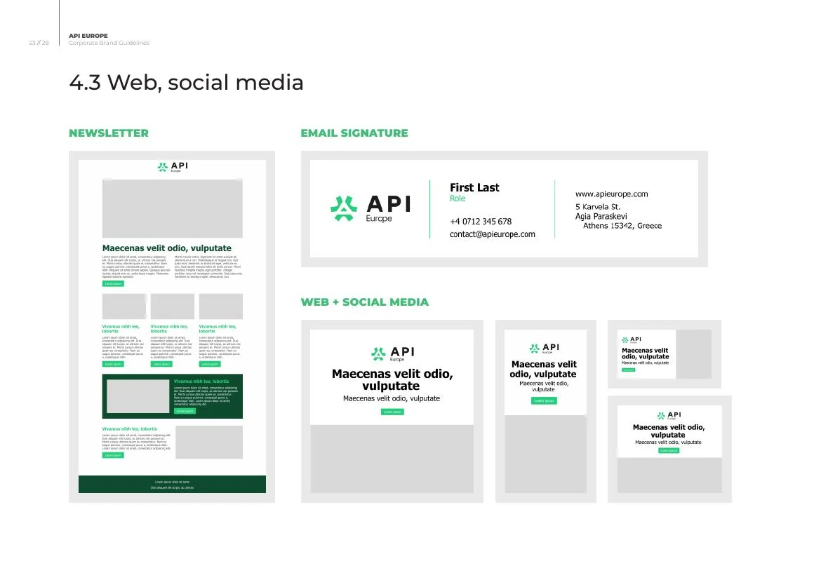 Sistem digital API Europe