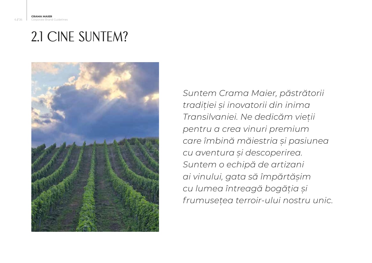 Crama Maier vineyards and brand origin