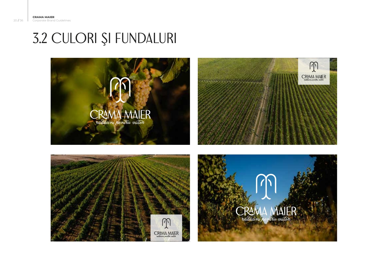 Crama Maier identity on vineyard photography