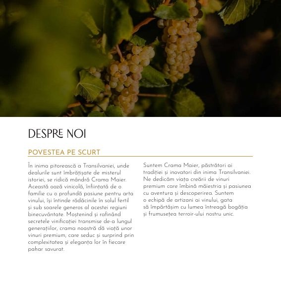 Crama Maier — Wine Catalog project detail