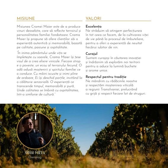 Crama Maier — Wine Catalog project detail