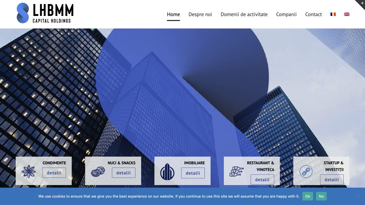 LHBMM Holding — Bilingual Corporate Website case study