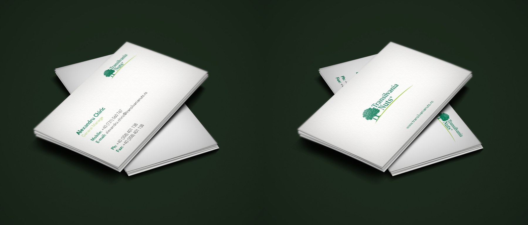 Transilvania Nuts — Modernizare de brand project detail