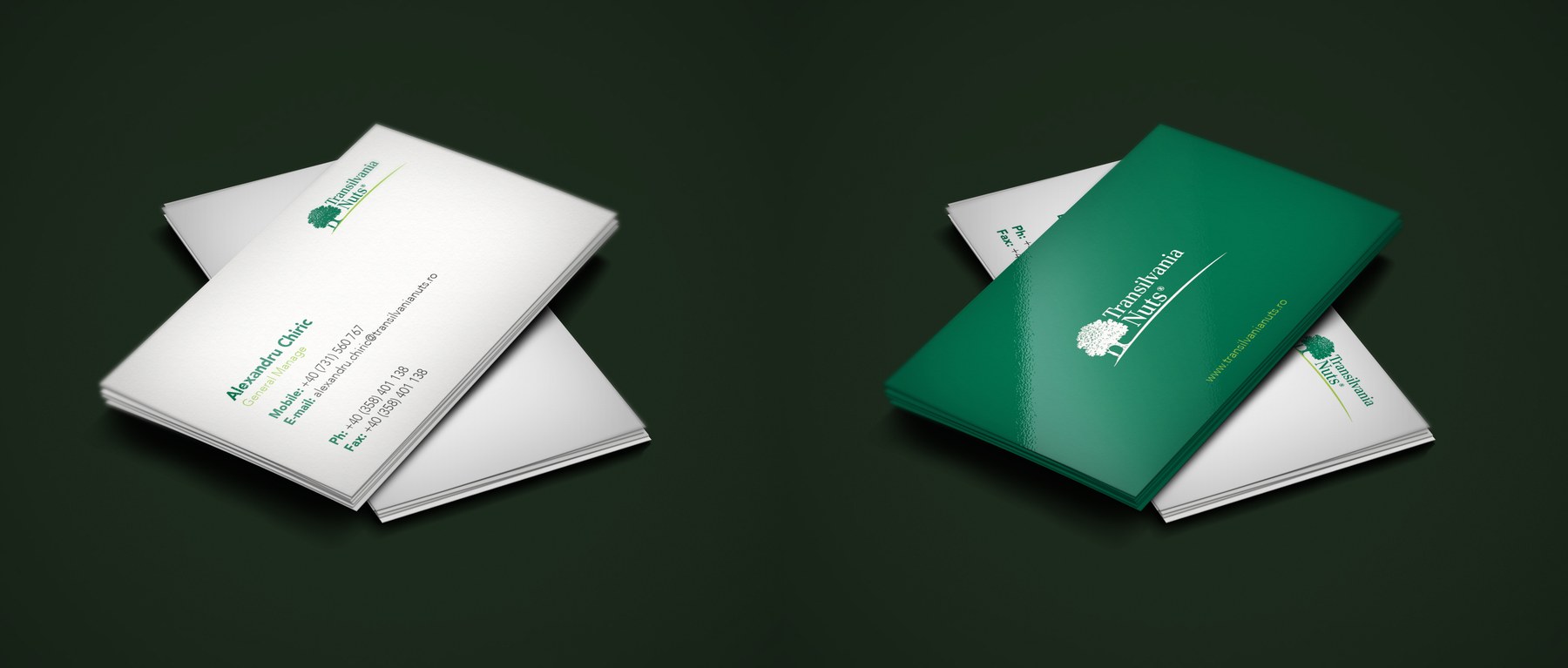 Transilvania Nuts — Modernizare de brand project detail
