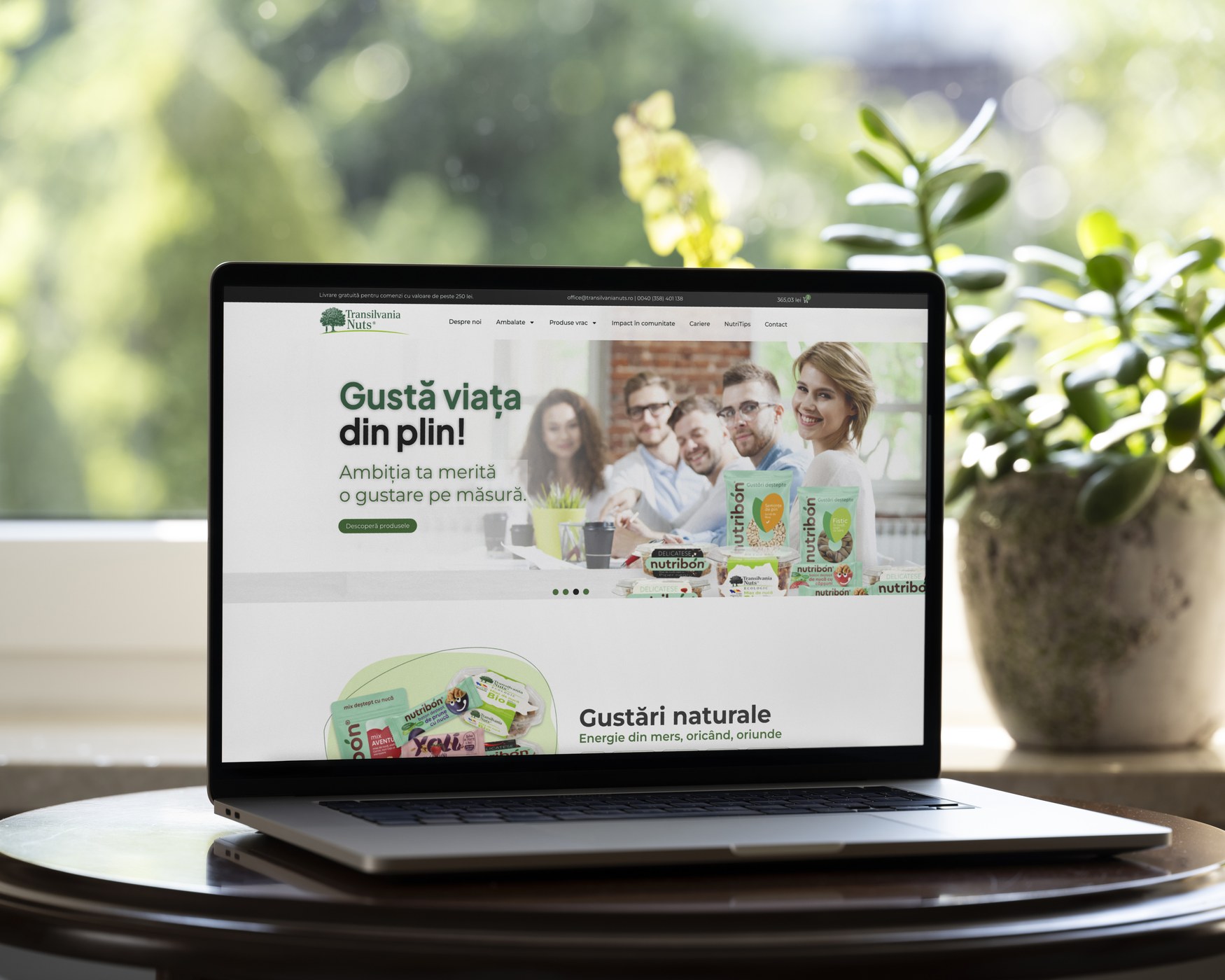 Transilvania Nuts — Modernizare de brand project detail