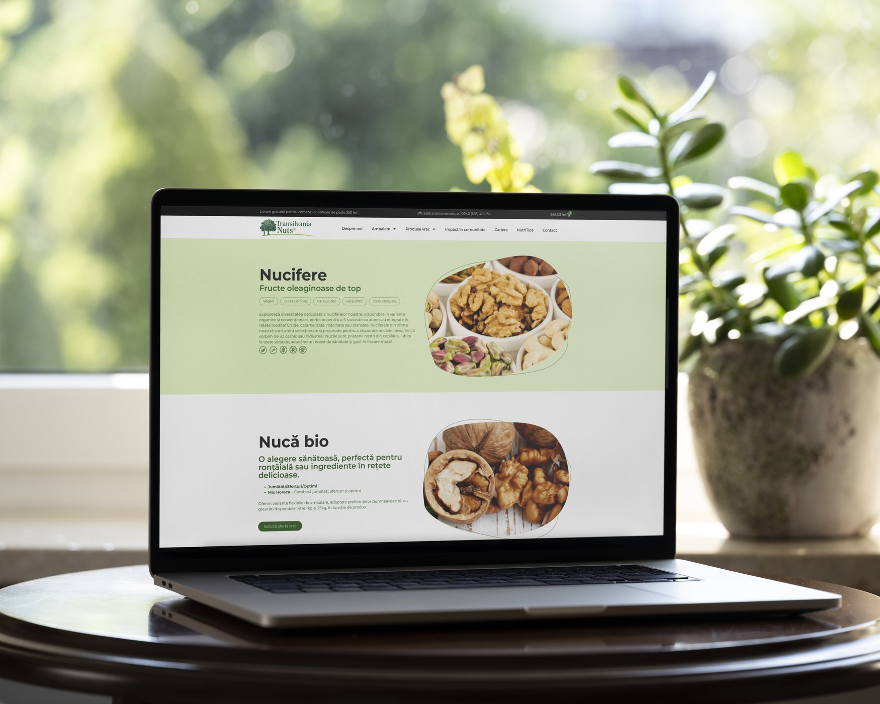 Transilvania Nuts — Modernizare de brand project detail